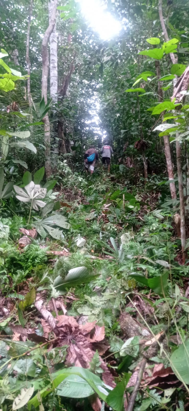 Amazonía Peruana